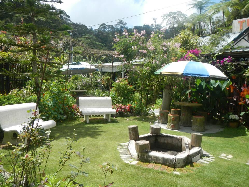 Twin Pines Guest House Cameron Highlands Eksteriør billede