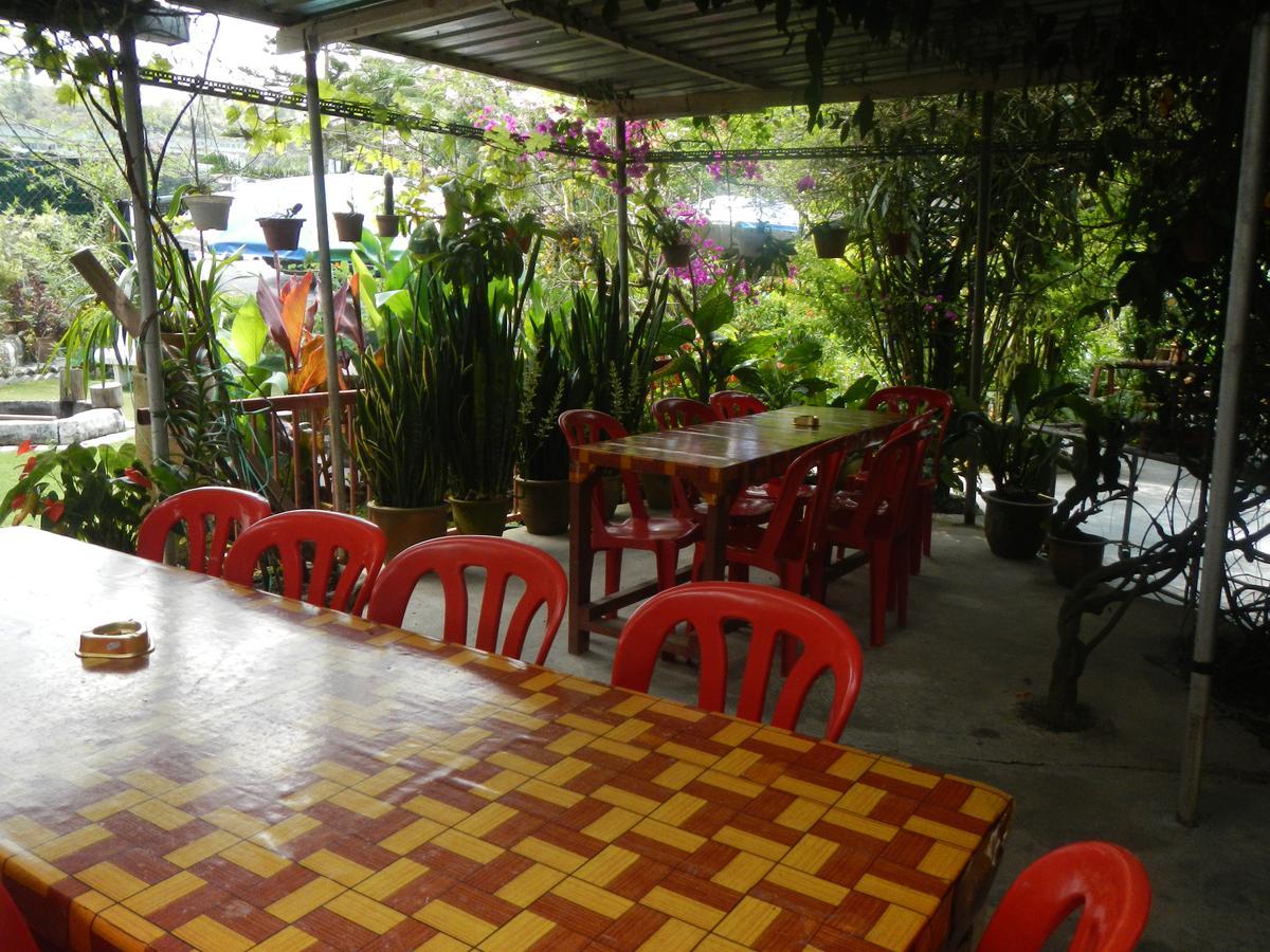 Twin Pines Guest House Cameron Highlands Eksteriør billede